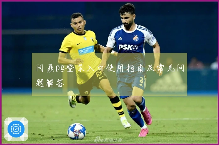问鼎pg登录入口使用指南及常见问题解答