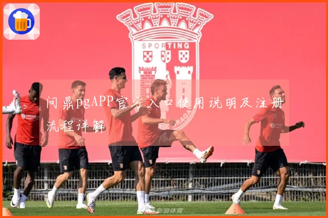 问鼎pgAPP官方入口使用说明及注册流程详解