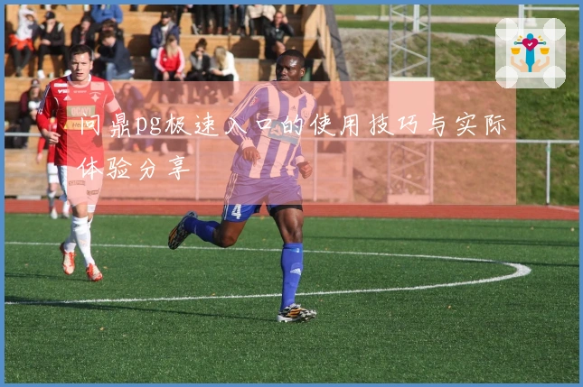 问鼎pg极速入口的使用技巧与实际体验分享