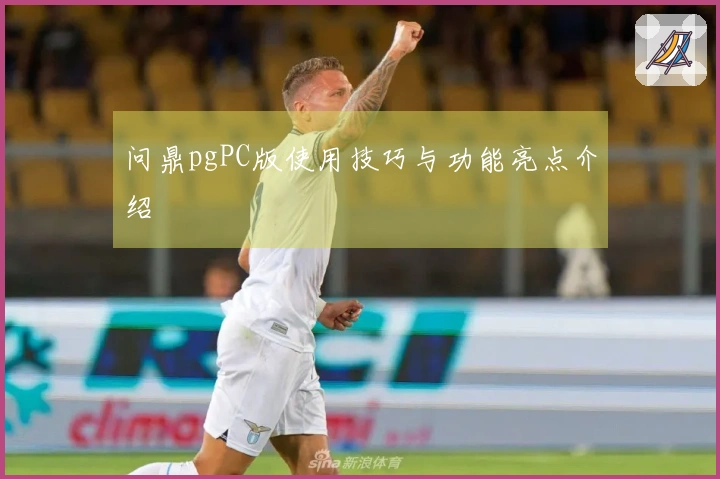 问鼎pgPC版使用技巧与功能亮点介绍