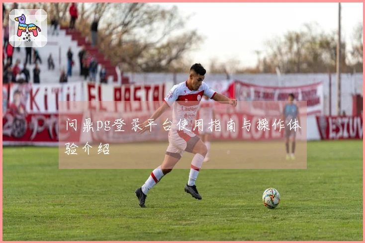 问鼎pg登录平台使用指南与操作体验介绍